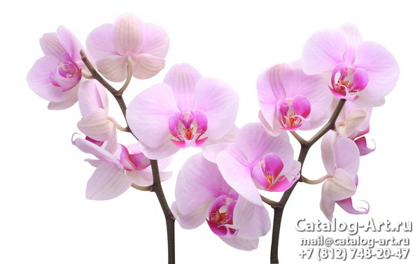 Натяжные потолки с фотопечатью - Розовые орхидеи 6